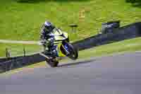 Middle Group Yellow Bikes